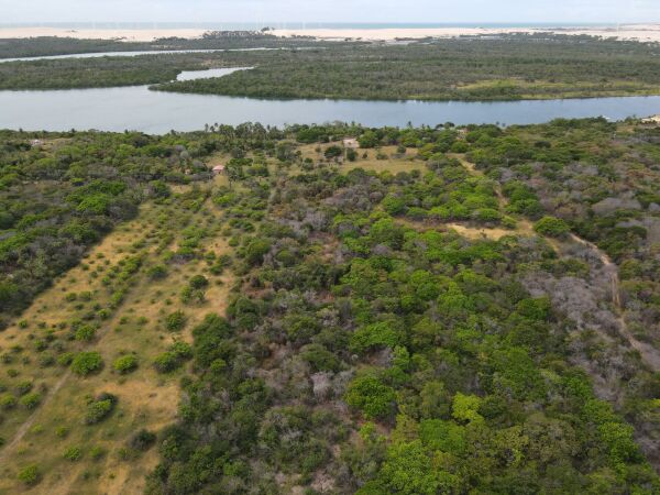 Imagem 3 de Ilha fluvial cercada pelo Rio Jaguaribe em Fortim